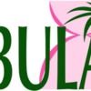 bula2010